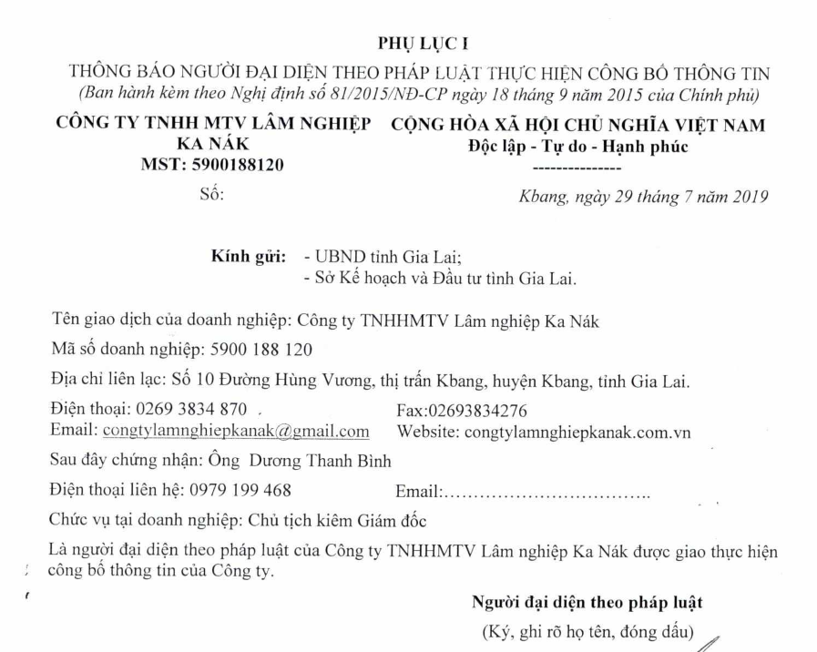 Báo cáo cổng thông tin điện tử